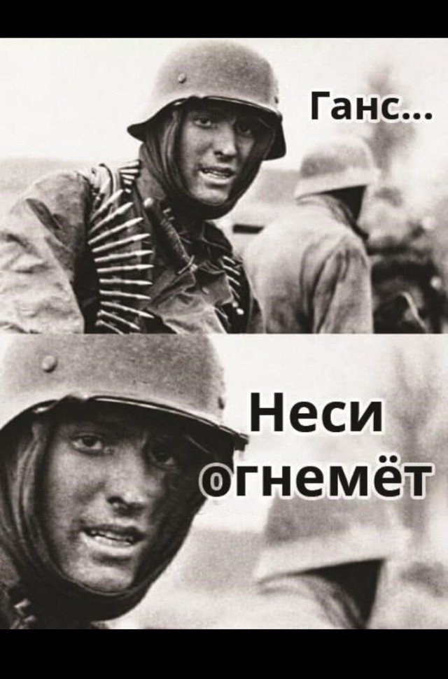 Осиные гнёзда и (не)удачливые ликвидаторы