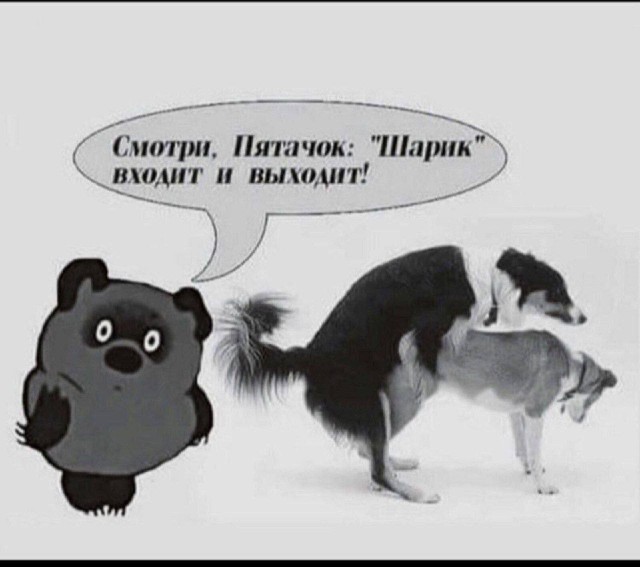 Картинки для деградации 276 (разной степени свежести)