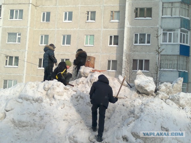 Правильные дети