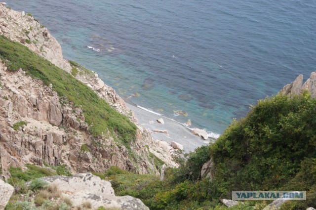 Природа Приморского края