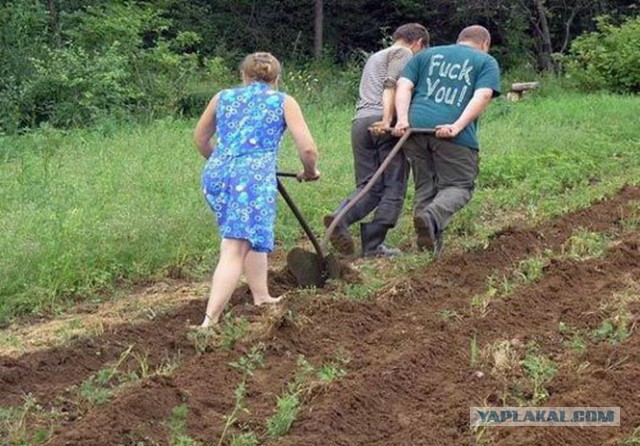Это Россия, детка!