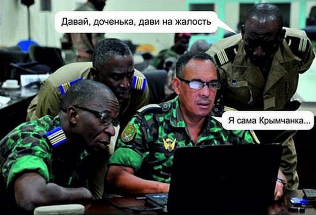 Диванные войска, пивная дивизия