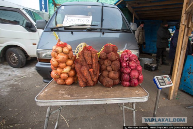 Продуктовые рынки в России и Китае