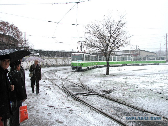 Хроники несожженного фотографа