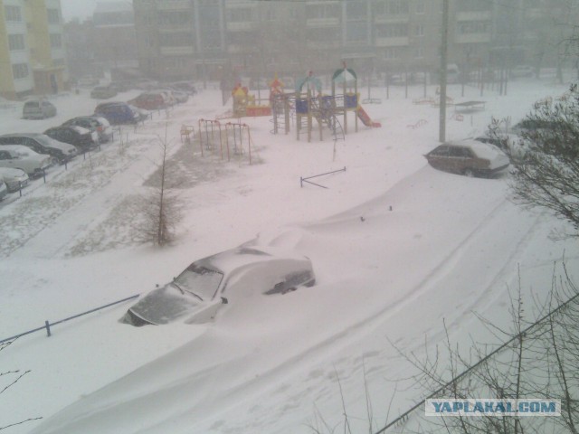 Зима в этом году