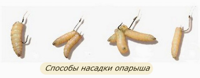Жена будет рада