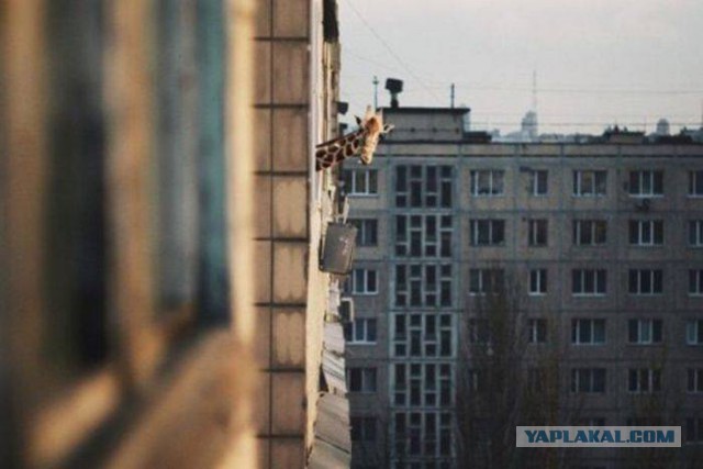 Традиционная пятничная подборка ВК и не только