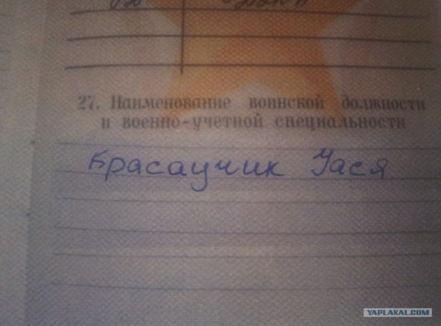 В случае войны буду служить процессором...