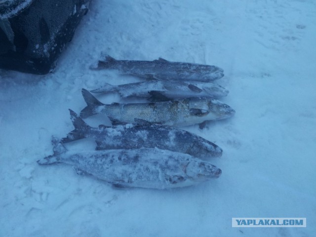Карелия. Рыбалка.