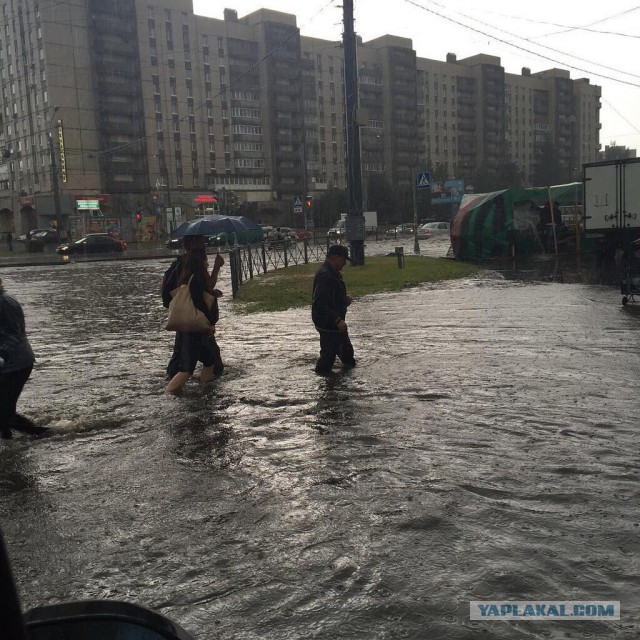 Жители Санкт-Петербурга открыли купальный сезон