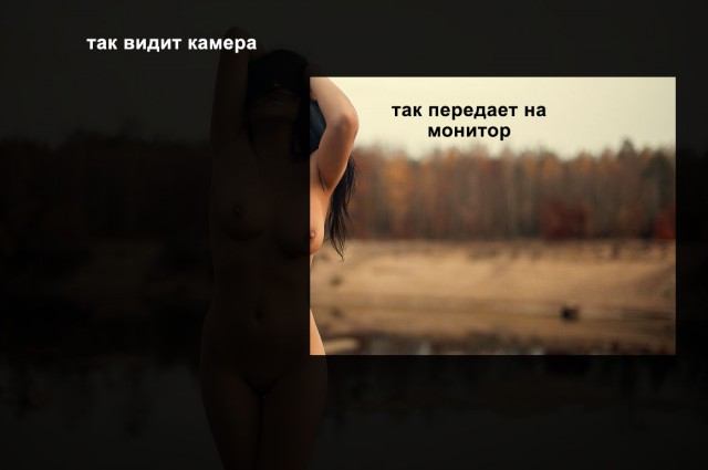 За что я люблю китайцев
