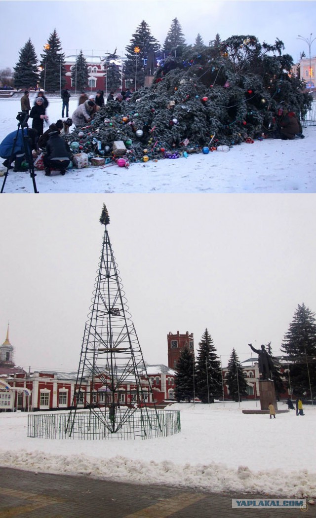 Какая ёлка у Вас в городе?