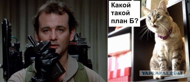 Быстрый совет по ловле крысы