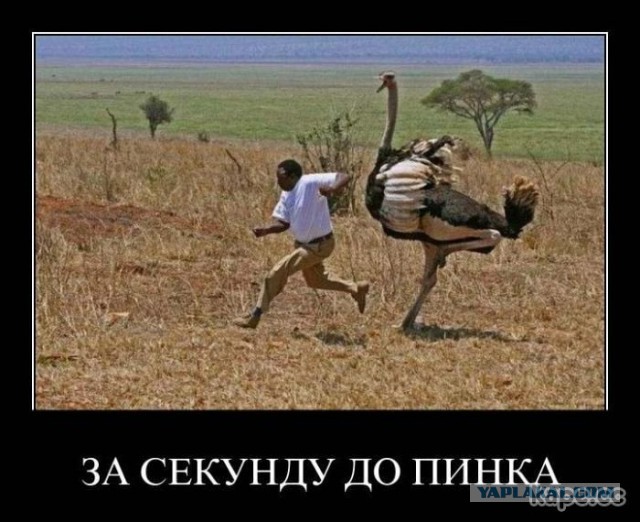 Как согреться холодной африканской ночью