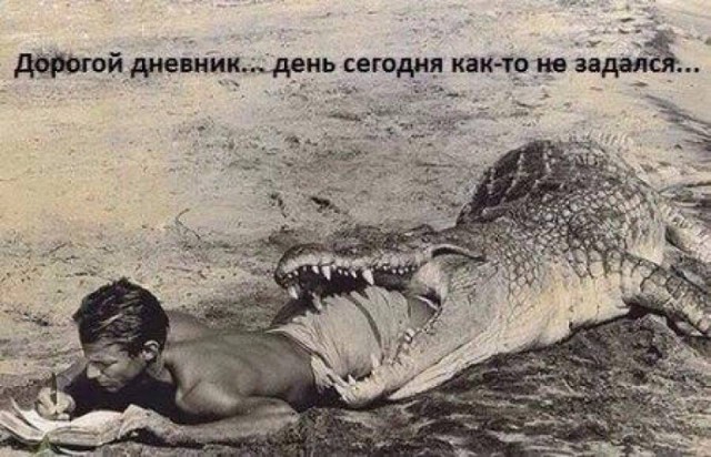 Ударная доза тупежа на начало недели