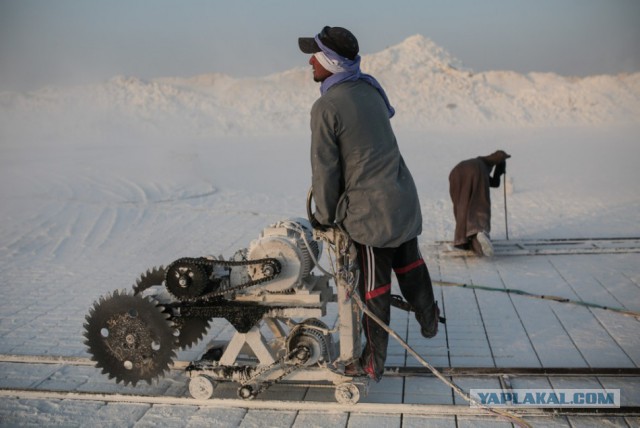 Пора вари... валить бетон! "Альты", шах и мат!