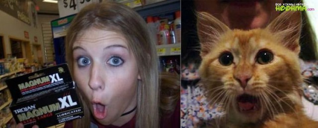 Один в один! 17 людей, животных и вещей, которые невероятно похожи друг на друга.