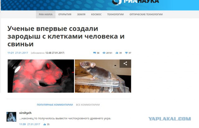 Смешные комментарии из социальных сетей 27.01.2017
