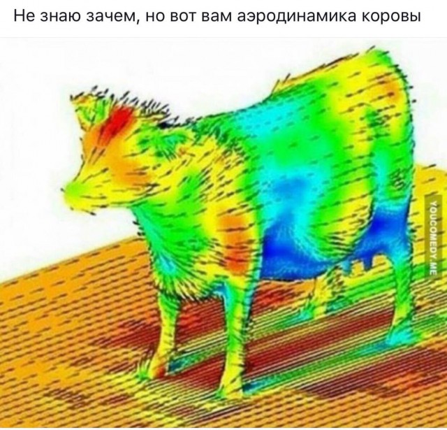 Подборка интересных и веселых картинок