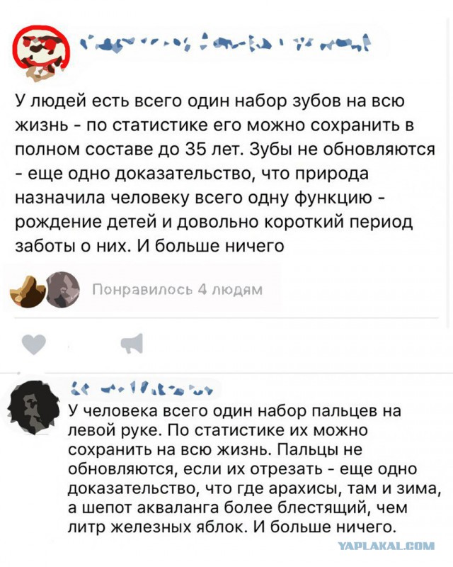 Приколы на любые темы