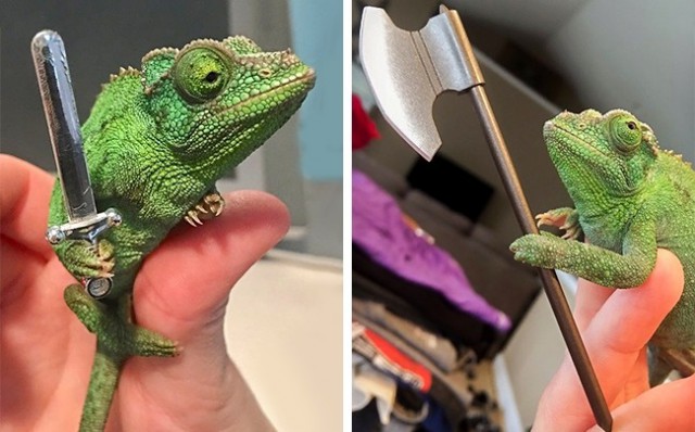 30 снимков, которые помогут улыбнуться даже в самый ненастный день