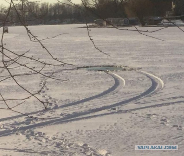Скотсети и прочие интернеты 22.01.18