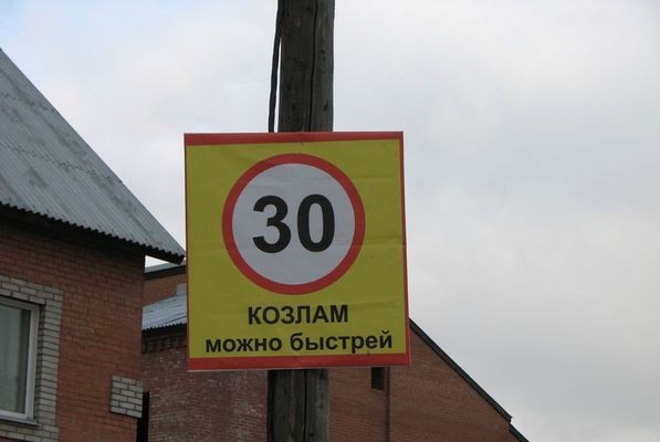 А козлам закон не писан