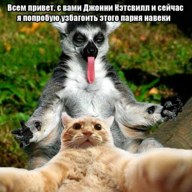 Тятя! Тятя! Наши сети принесли неадекват!