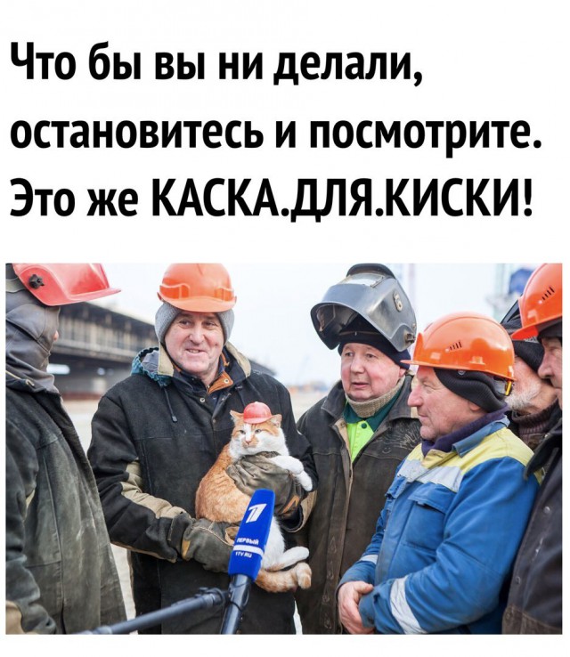 Не очень адекватный юмор
