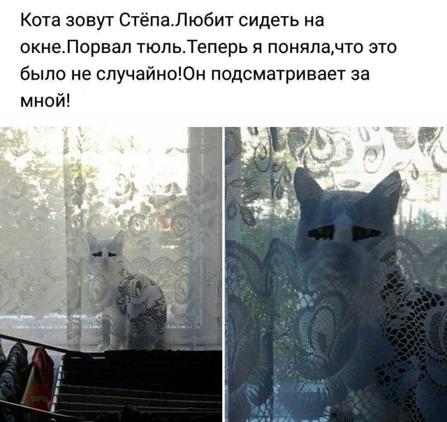 Немного картинок на сегодня