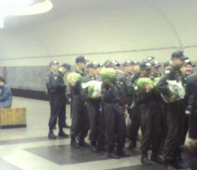 Выловлено в наших сетях