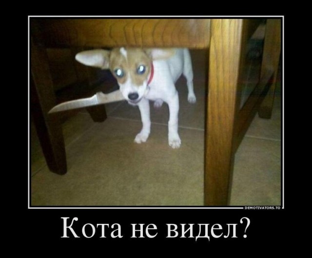 Задолбали!