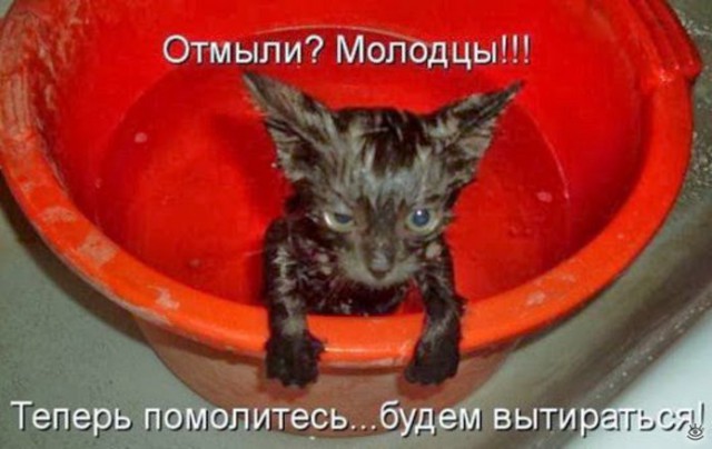 Девочки, у кого мужья моются раз в неделю?