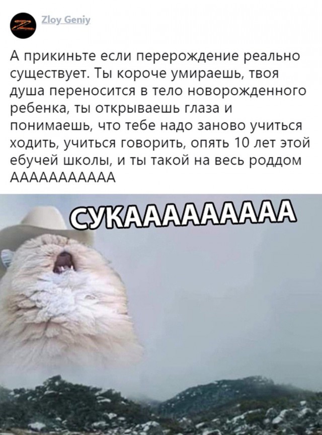 Вдарим