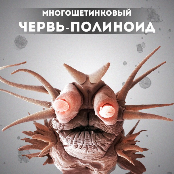Я женат на рептилоидше