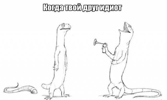 Картинки с надписями и анекдоты