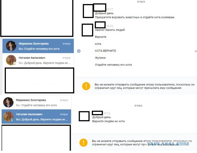 Помогите вернуть кота! Приют "Преданное сердце" украл кота и не отдает!