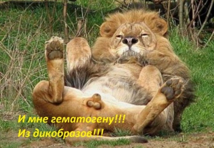 Гематогенку, пожалуйста