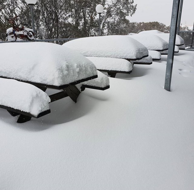 Такое бывает раз в 15 лет: в Австралии выпало около 20 см снега