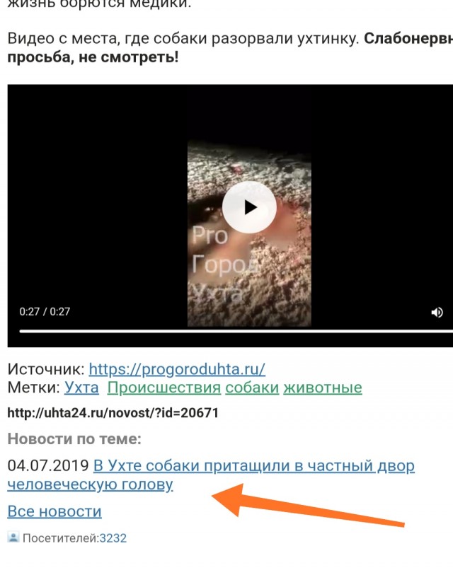 В Ухте свора бездомных собак разорвала женщину (18+)