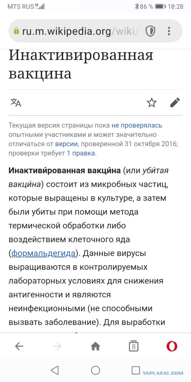 «Наступит массовая гибель»: в Екатеринбурге раздают листовки против прививок от коронавируса