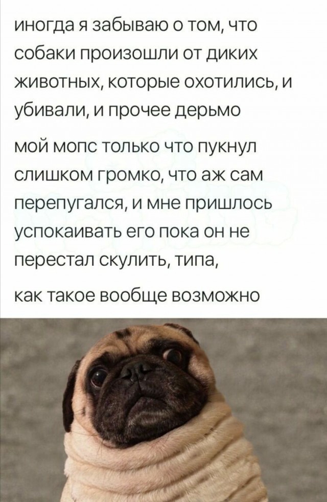Отовсюду обо всём