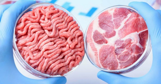 Первый в мире завод искусственного мяса открылся в Израиле