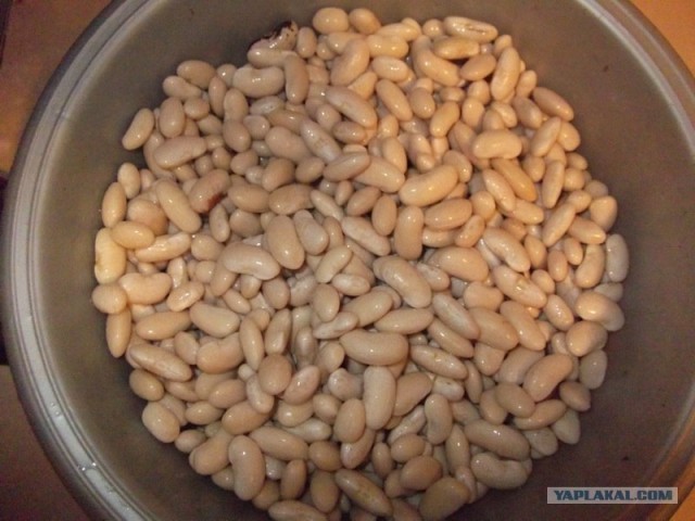 Фасоль – International, Или «Веселые нотки»