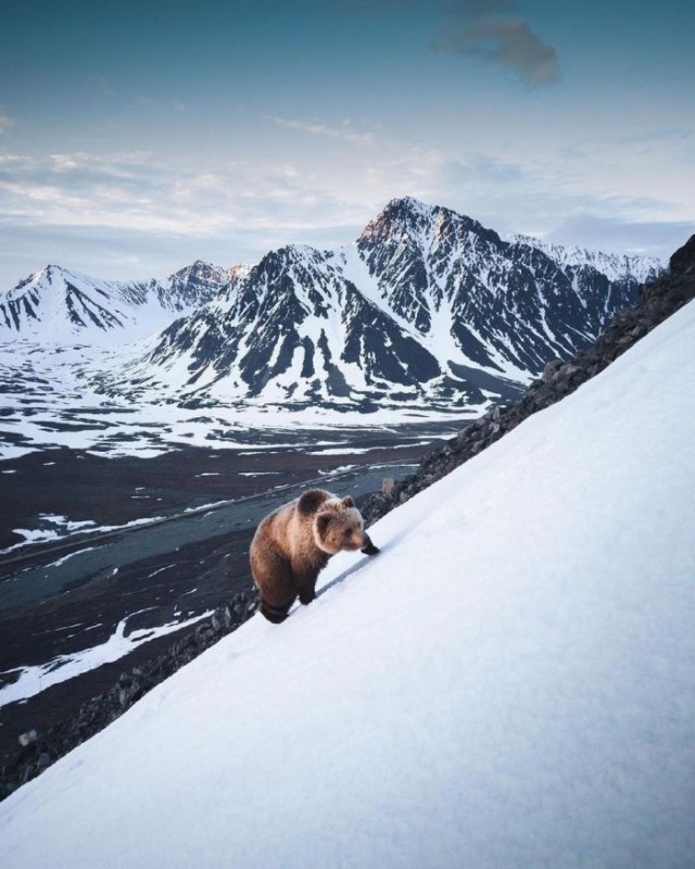 Картинки и мемы для настроения 05.08.2021