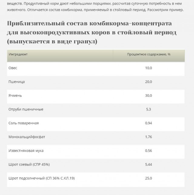 О том, что СССР был ложью и лицемерием