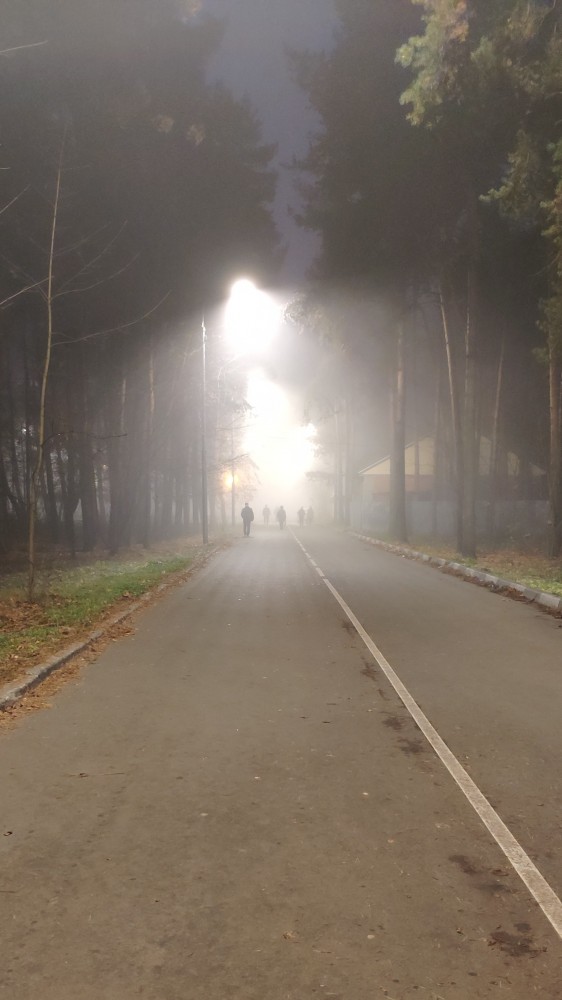 Туман в Москве