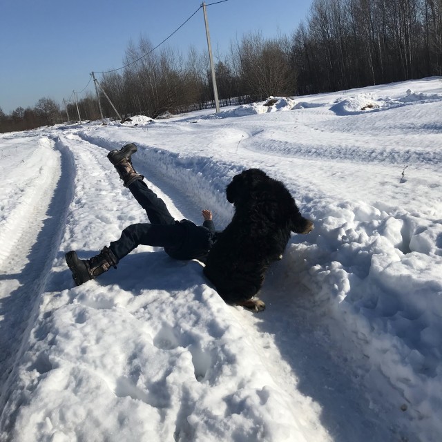 Собачий четверг же