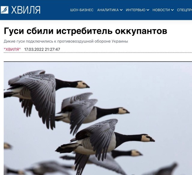 Цвет обороны 404