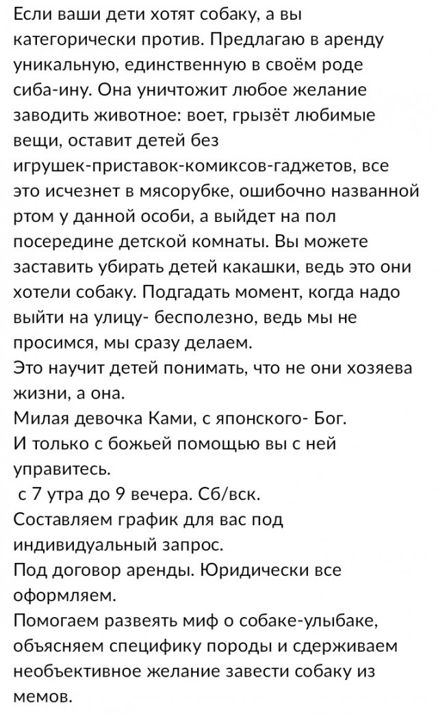 Весёлый полтишок 23.03.22